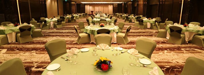 1242/The Pride Plaza Hotel - New Delhi 07.jpg